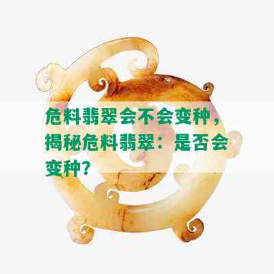 危料翡翠会不会变种，揭秘危料翡翠：是否会变种？