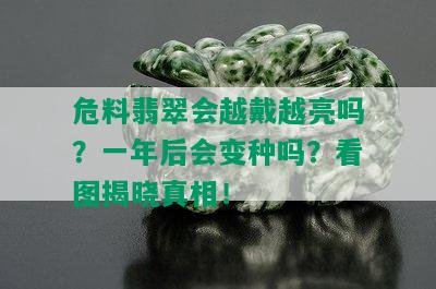 危料翡翠会越戴越亮吗？一年后会变种吗？看图揭晓真相！