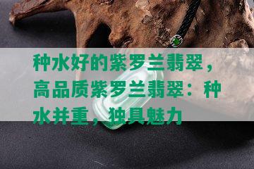 种水好的紫罗兰翡翠，高品质紫罗兰翡翠：种水并重，独具魅力