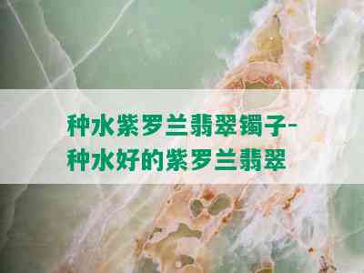 种水紫罗兰翡翠镯子-种水好的紫罗兰翡翠