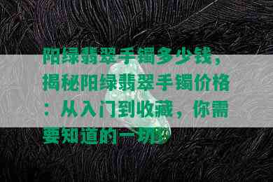 阳绿翡翠手镯多少钱，揭秘阳绿翡翠手镯价格：从入门到收藏，你需要知道的一切！