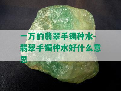 一万的翡翠手镯种水-翡翠手镯种水好什么意思