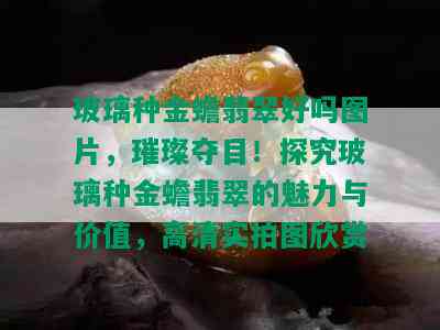 玻璃种金蟾翡翠好吗图片，璀璨夺目！探究玻璃种金蟾翡翠的魅力与价值，高清实拍图欣赏