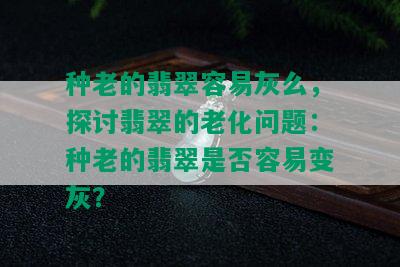 种老的翡翠容易灰么，探讨翡翠的老化问题：种老的翡翠是否容易变灰？