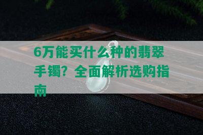 6万能买什么种的翡翠手镯？全面解析选购指南