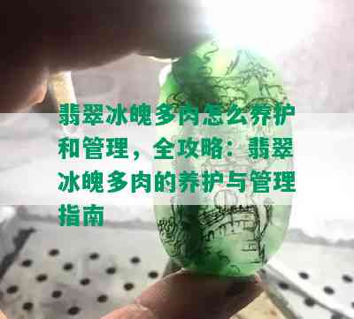 翡翠冰魄多肉怎么养护和管理，全攻略：翡翠冰魄多肉的养护与管理指南