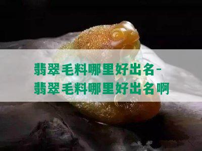 翡翠毛料哪里好出名-翡翠毛料哪里好出名啊