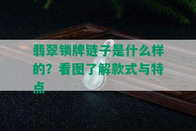 翡翠锁牌链子是什么样的？看图了解款式与特点