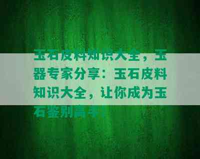 玉石皮料知识大全，玉器专家分享：玉石皮料知识大全，让你成为玉石鉴别高手！