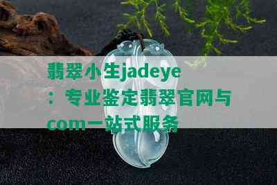 翡翠小生jadeye：专业鉴定翡翠官网与com一站式服务