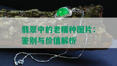 翡翠中的老糯种图片：鉴别与价值解析