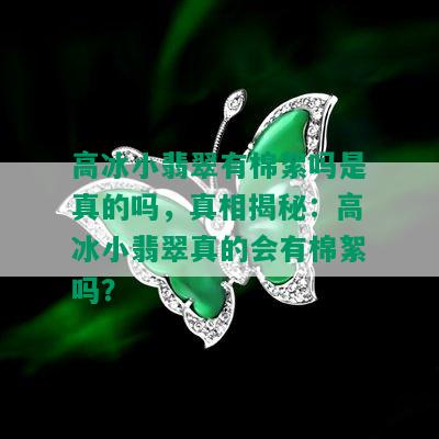 高冰小翡翠有棉絮吗是真的吗，真相揭秘：高冰小翡翠真的会有棉絮吗？