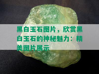 黑白玉石图片，欣赏黑白玉石的神秘魅力：精美图片展示