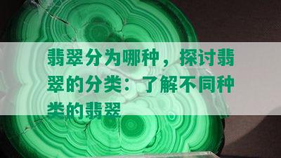 翡翠分为哪种，探讨翡翠的分类：了解不同种类的翡翠