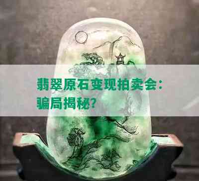 翡翠原石变现拍卖会：骗局揭秘？