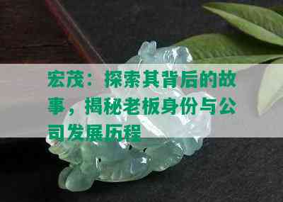 宏茂：探索其背后的故事，揭秘老板身份与公司发展历程