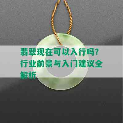 翡翠现在可以入行吗？行业前景与入门建议全解析