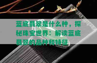 蓝底翡翠是什么种，探秘珠宝世界：解读蓝底翡翠的品种和特征