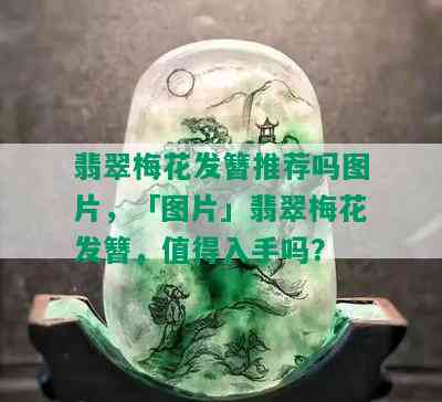 翡翠梅花发簪推荐吗图片，「图片」翡翠梅花发簪，值得入手吗？