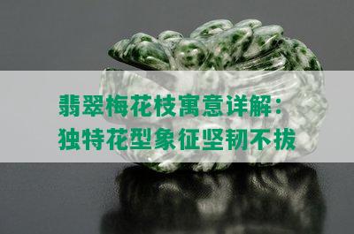 翡翠梅花枝寓意详解：独特花型象征坚韧不拔