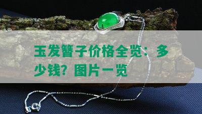 玉发簪子价格全览：多少钱？图片一览