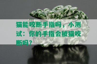 猫能咬断手指吗，小测试：你的手指会被猫咬断吗？