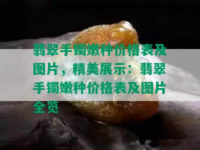 翡翠手镯嫩种价格表及图片，精美展示：翡翠手镯嫩种价格表及图片全览