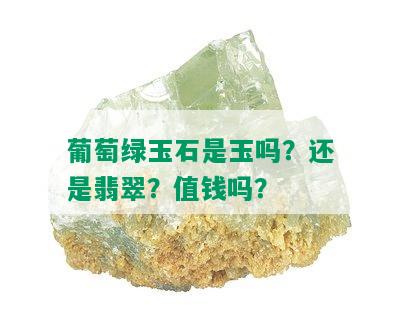 葡萄绿玉石是玉吗？还是翡翠？值钱吗？