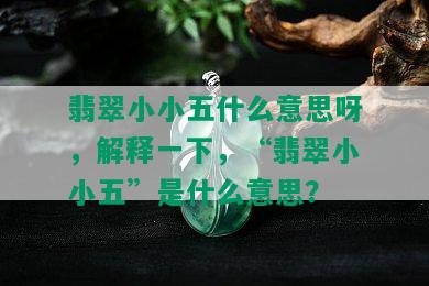 翡翠小小五什么意思呀，解释一下，“翡翠小小五”是什么意思？