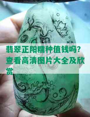 翡翠正阳糯种值钱吗？查看高清图片大全及欣赏