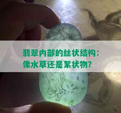 翡翠内部的丝状结构：像水草还是絮状物？