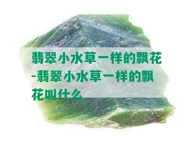 翡翠小水草一样的飘花-翡翠小水草一样的飘花叫什么