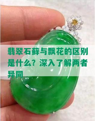 翡翠石藓与飘花的区别是什么？深入了解两者异同