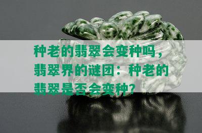 种老的翡翠会变种吗，翡翠界的谜团：种老的翡翠是否会变种？