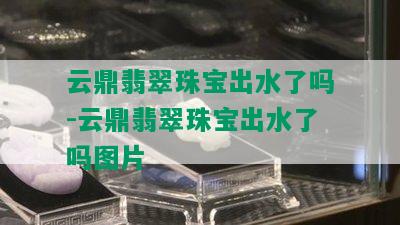 云鼎翡翠珠宝出水了吗-云鼎翡翠珠宝出水了吗图片