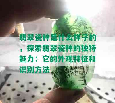 翡翠瓷种是什么样子的，探索翡翠瓷种的独特魅力：它的外观特征和识别方法