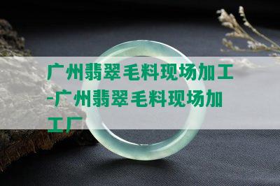 广州翡翠毛料现场加工-广州翡翠毛料现场加工厂