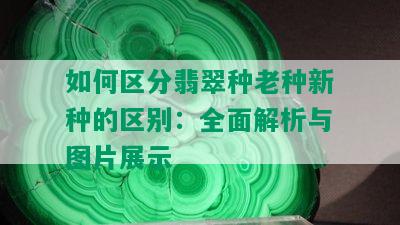 如何区分翡翠种老种新种的区别：全面解析与图片展示