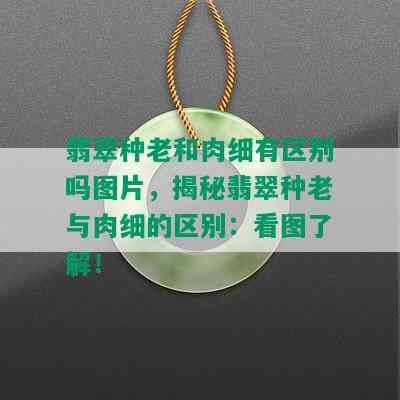 翡翠种老和肉细有区别吗图片，揭秘翡翠种老与肉细的区别：看图了解！