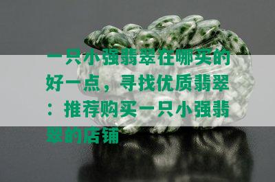 一只小强翡翠在哪买的好一点，寻找优质翡翠：推荐购买一只小强翡翠的店铺