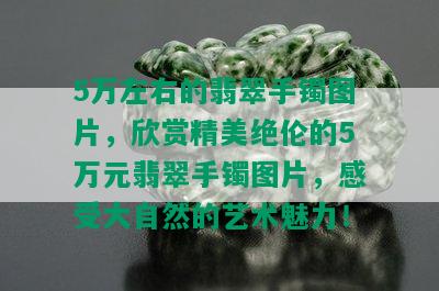 5万左右的翡翠手镯图片，欣赏精美绝伦的5万元翡翠手镯图片，感受大自然的艺术魅力！