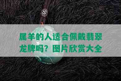 属羊的人适合佩戴翡翠龙牌吗？图片欣赏大全