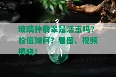 玻璃种翡翠是活玉吗？价值如何？看图、视频揭晓！