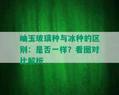 岫玉玻璃种与冰种的区别：是否一样？看图对比解析