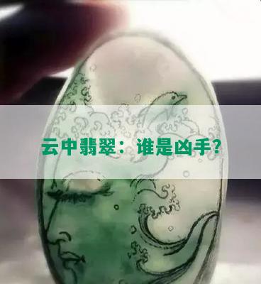 云中翡翠：谁是凶手？