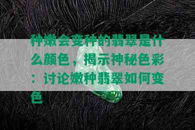 种嫩会变种的翡翠是什么颜色，揭示神秘色彩：讨论嫩种翡翠如何变色