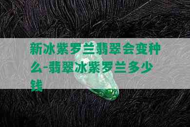 新冰紫罗兰翡翠会变种么-翡翠冰紫罗兰多少钱