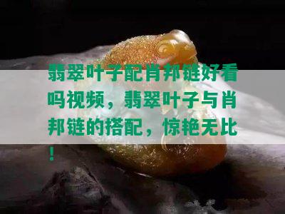 翡翠叶子配肖邦链好看吗视频，翡翠叶子与肖邦链的搭配，惊艳无比！