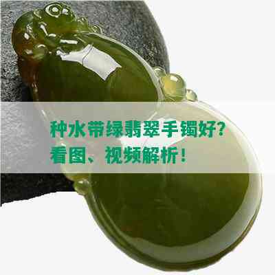 种水带绿翡翠手镯好？看图、视频解析！