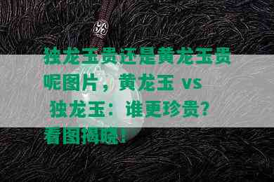 独龙玉贵还是黄龙玉贵呢图片，黄龙玉 vs 独龙玉：谁更珍贵？看图揭晓！